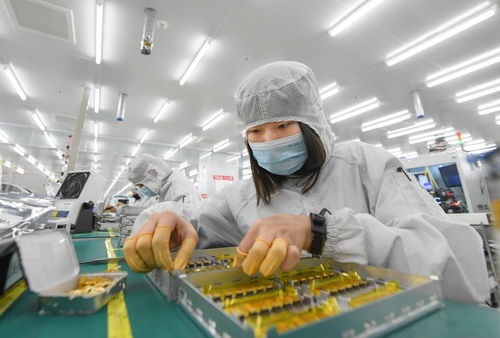 信息技術賦能，武漢都市圈加壓奮進打造全國高質量發展新增長極